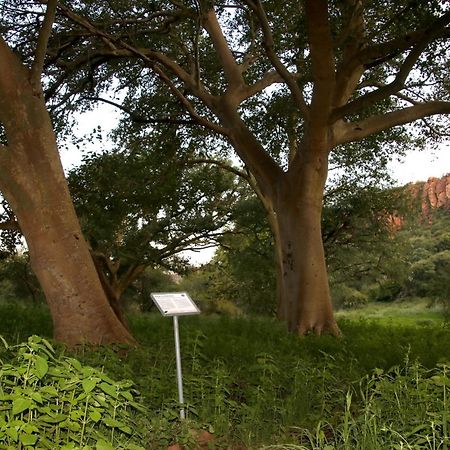 Waterberg Wilderness - One Namibia Exterior foto