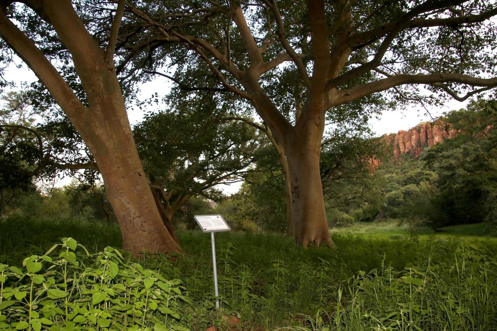 Waterberg Wilderness - One Namibia Exterior foto