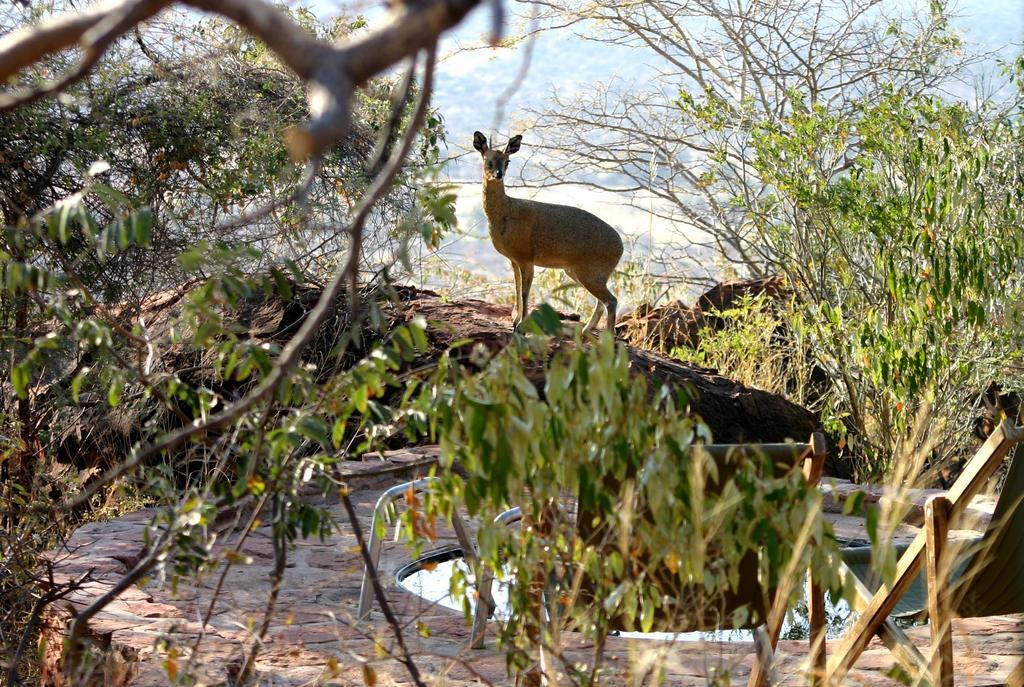 Waterberg Wilderness - One Namibia Exterior foto