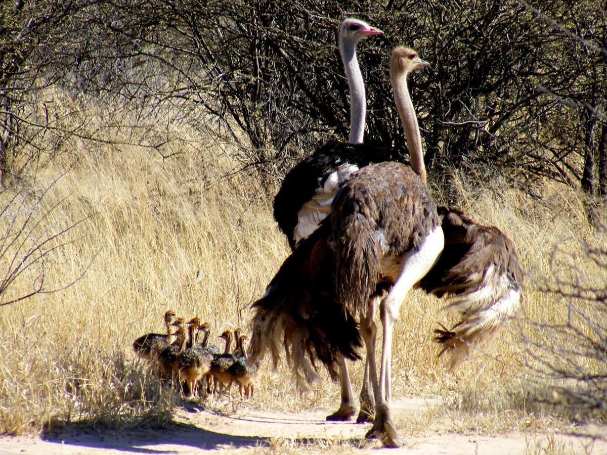 Waterberg Wilderness - One Namibia Exterior foto