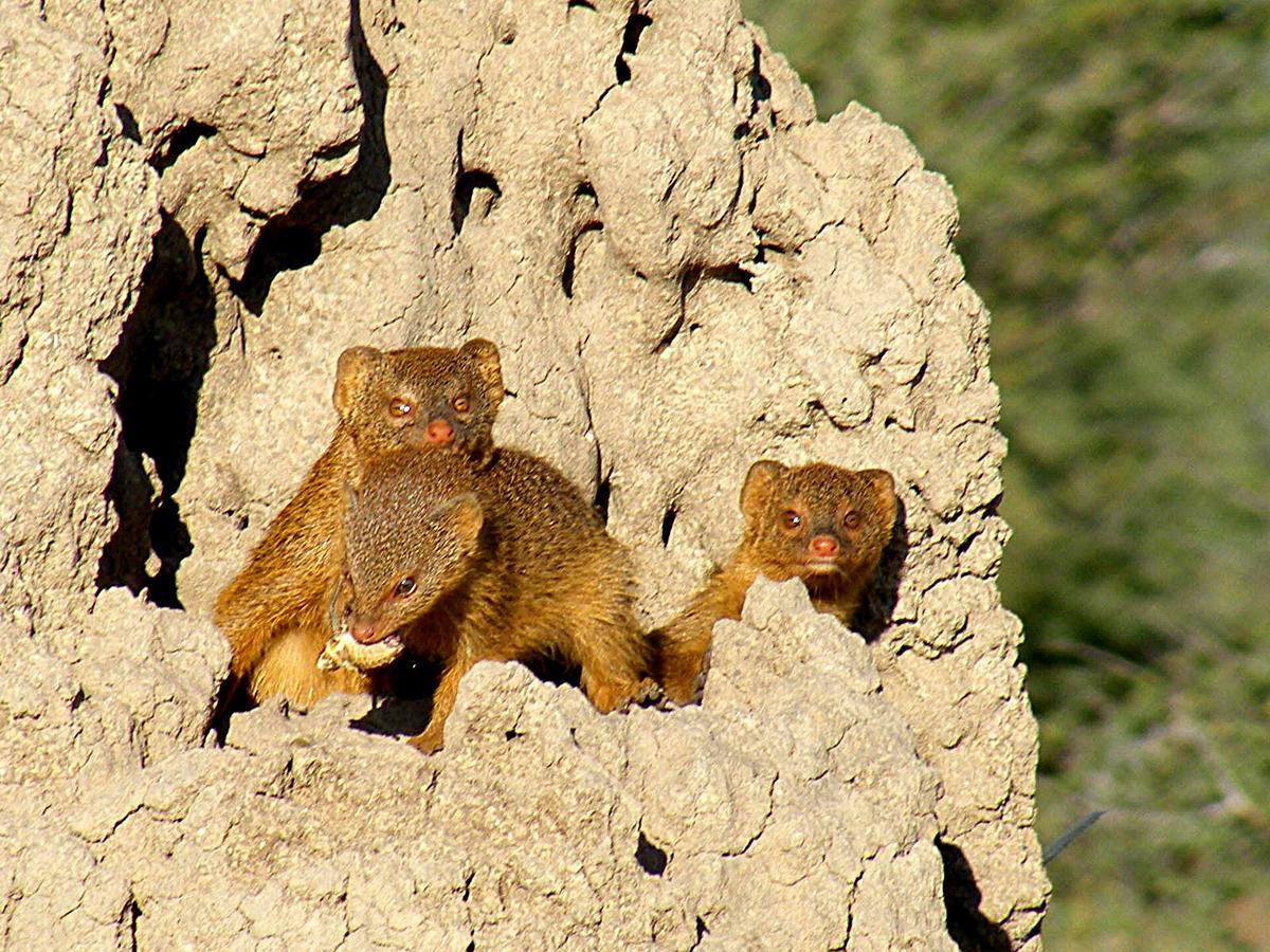 Waterberg Wilderness - One Namibia Quarto foto