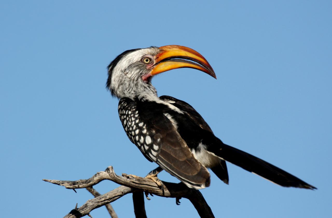 Waterberg Wilderness - One Namibia Exterior foto