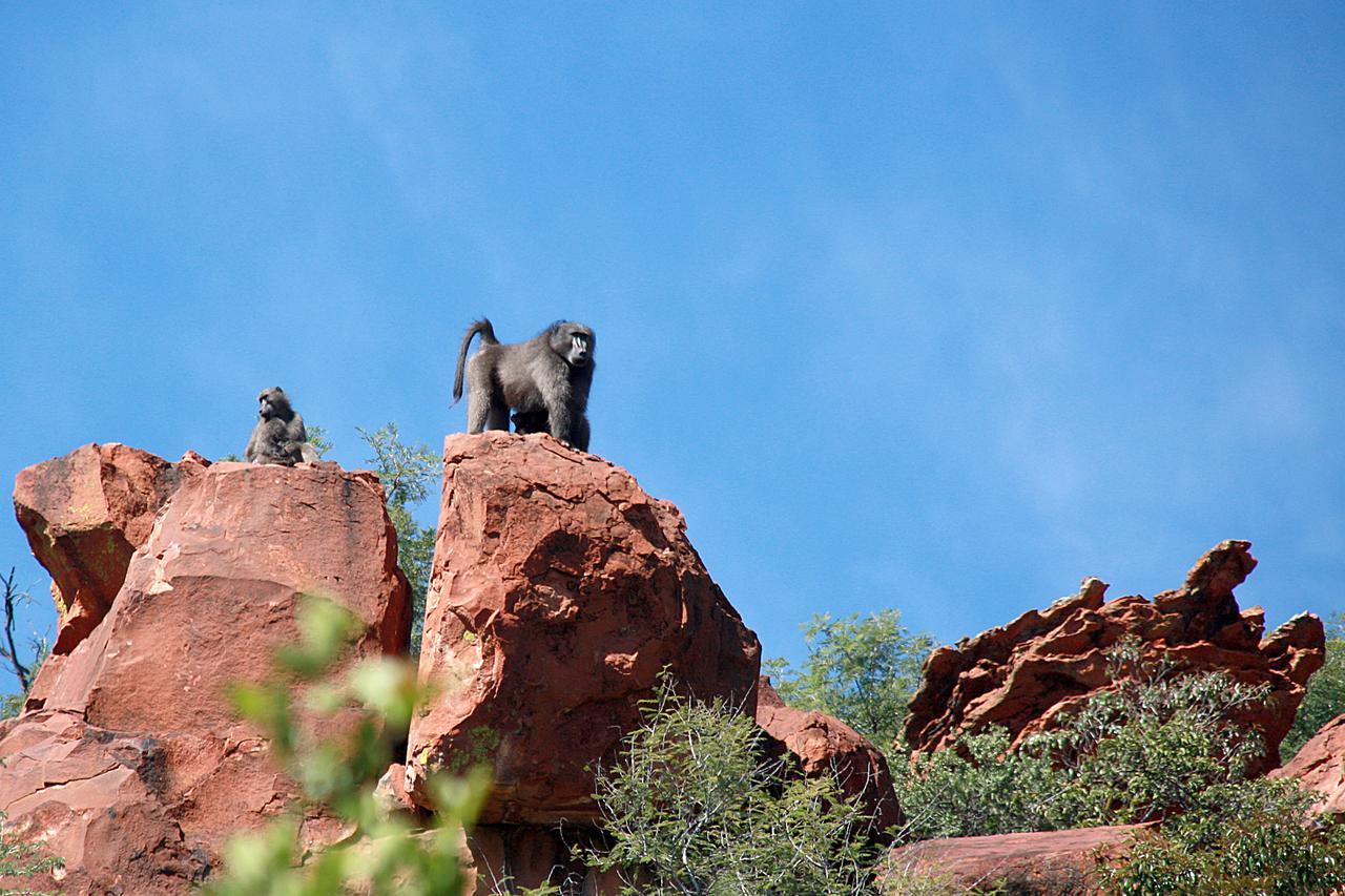 Waterberg Wilderness - One Namibia Exterior foto