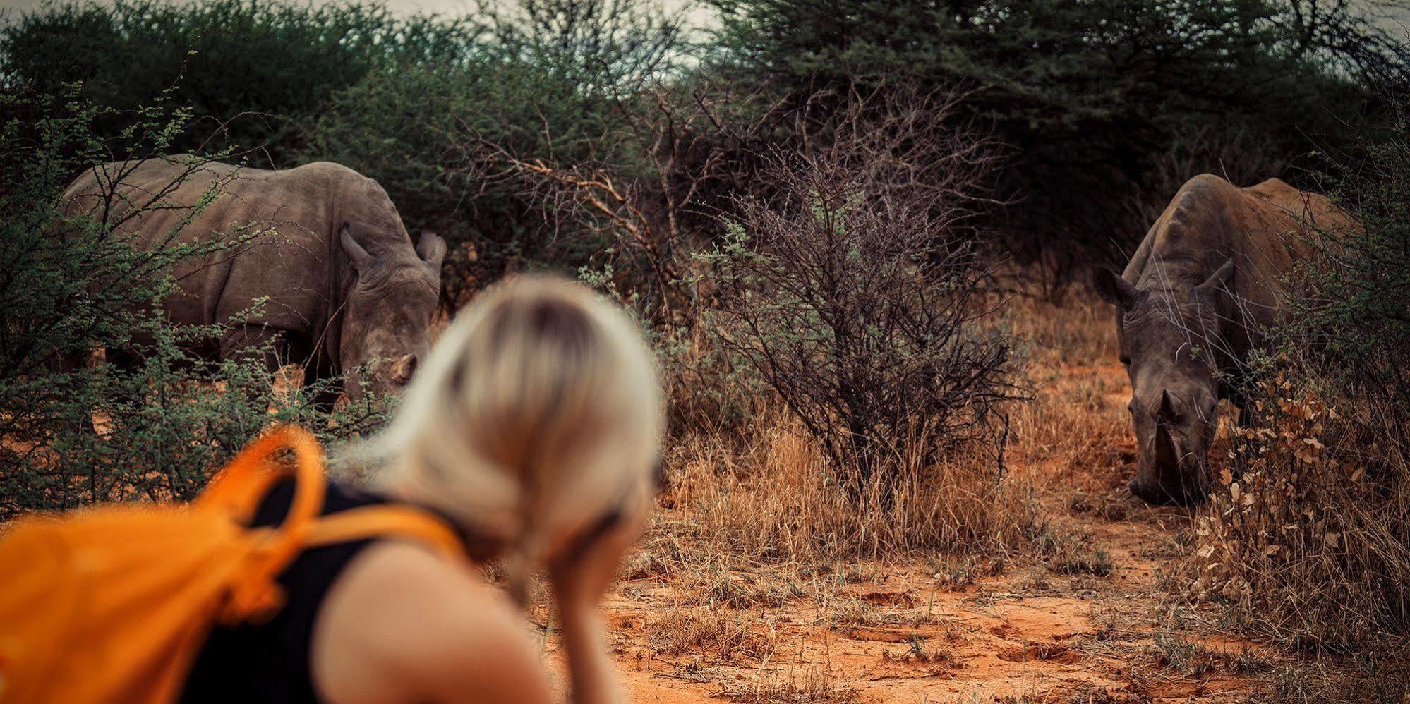 Waterberg Wilderness - One Namibia Exterior foto